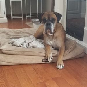 Meet your Posher, Lori